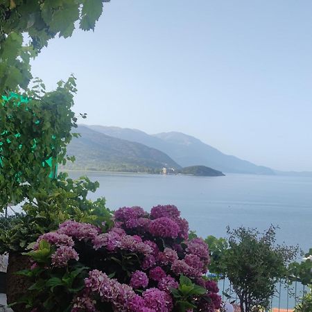 Villa Malezan 奥赫里德 外观 照片